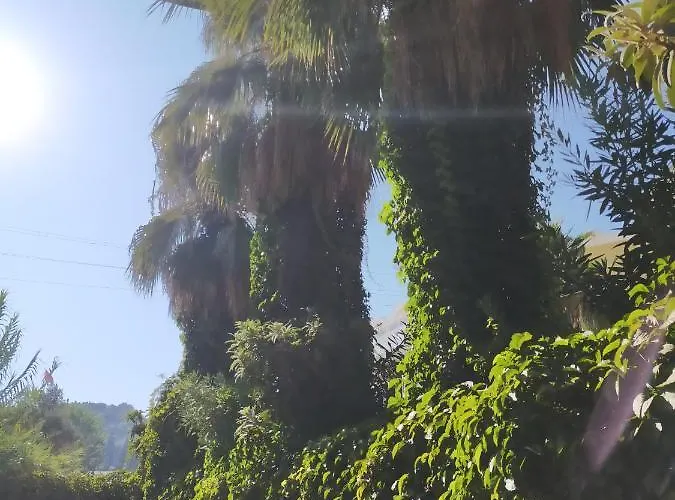 Ali Baba Marmaris