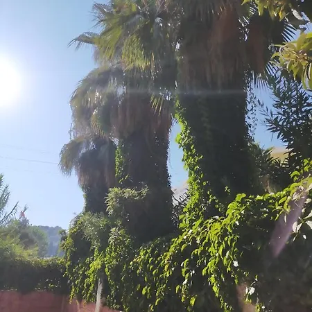 Ali Baba Marmaris